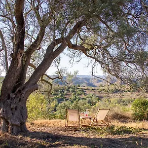 https://monte-oliva-turismo-rural.hotelaalgarve.com